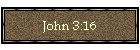 John 3:16